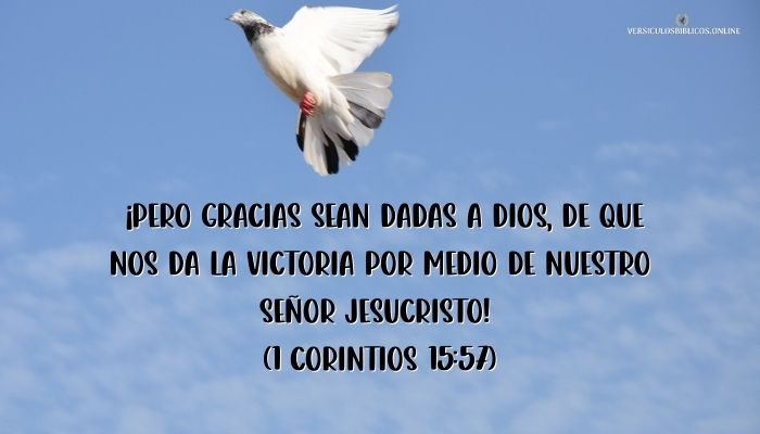 versiculos de agradecimiento