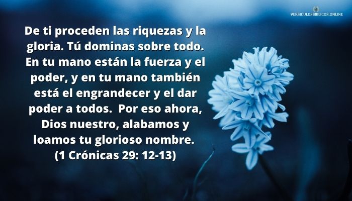 versiculos de agradecimiento