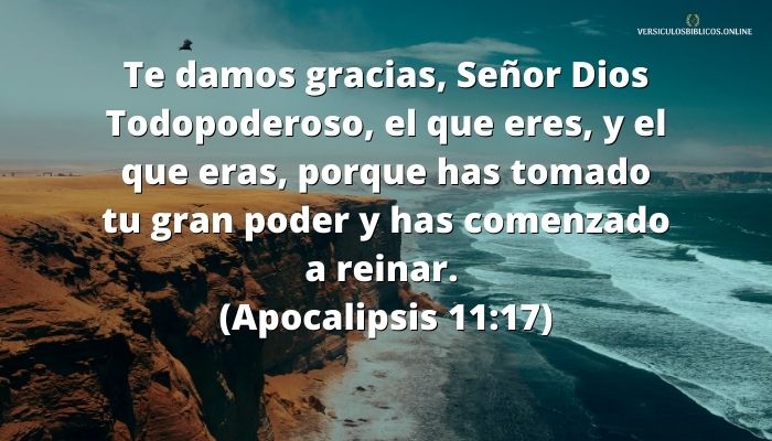 versiculos de agradecimiento