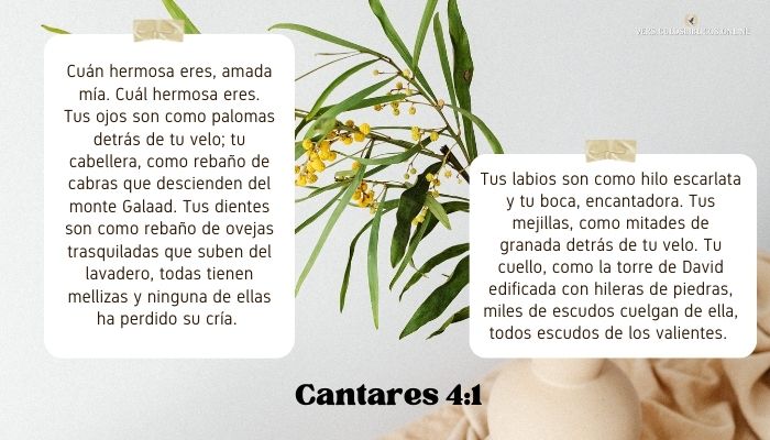 versiculos para mujeres valientes Cantares 4_1