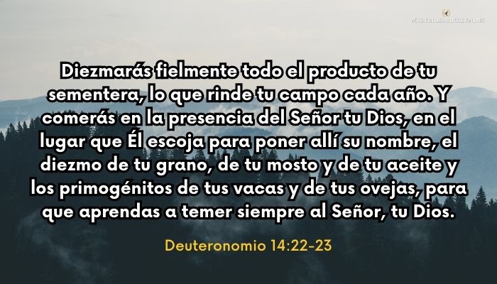 Deuteronomio 14_22-23