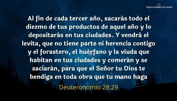Deuteronomio 28_29