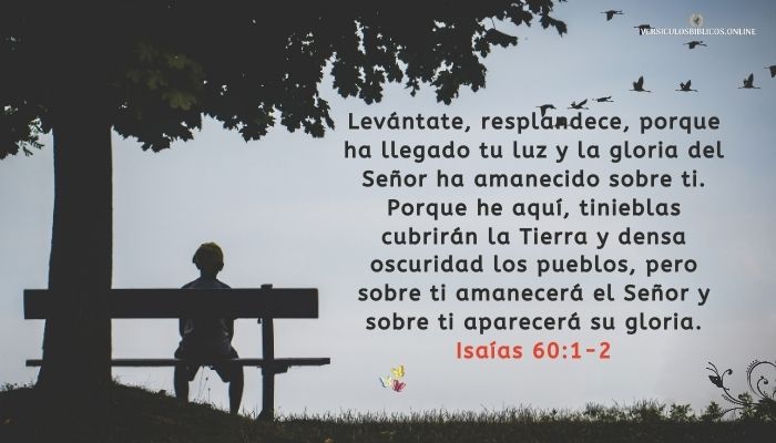 versiculos para mujeres valientes Isaías 60_1-2