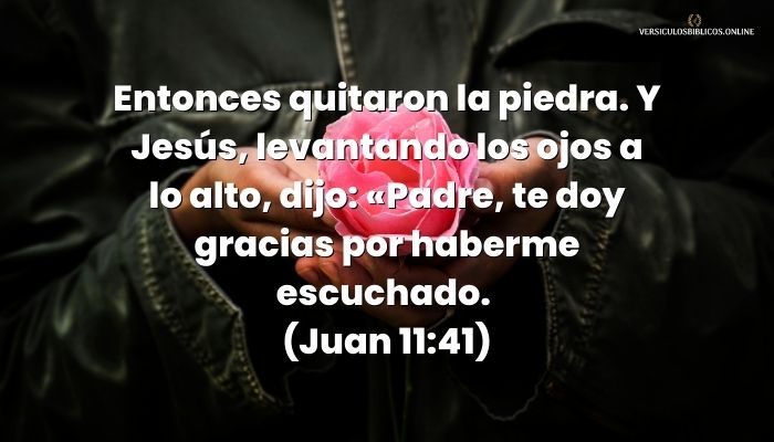 versiculos de agradecimiento