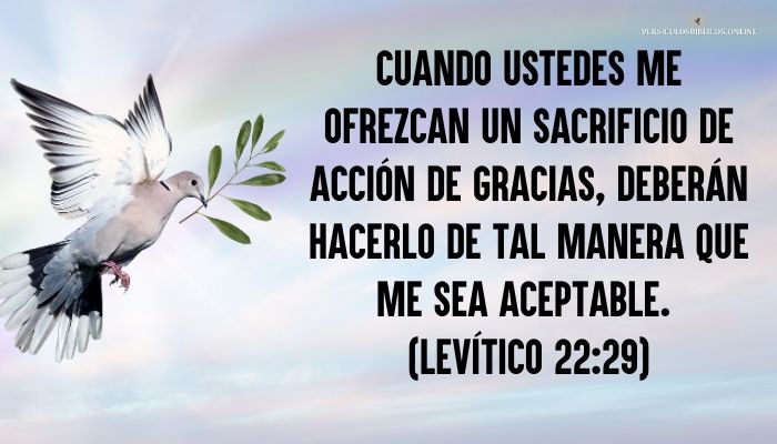 versiculos de agradecimiento