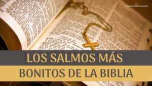 Los Salmos Más Bonitos de la Biblia