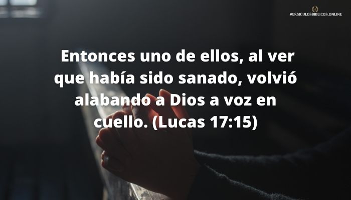 versiculos de agradecimiento