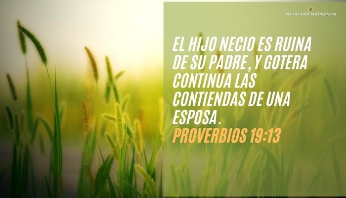 versiculos para mujeres valientes Proverbios 19_13