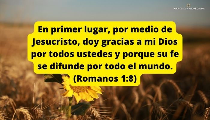 versiculos de agradecimiento