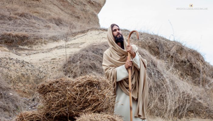 Salmo 24 Explicación