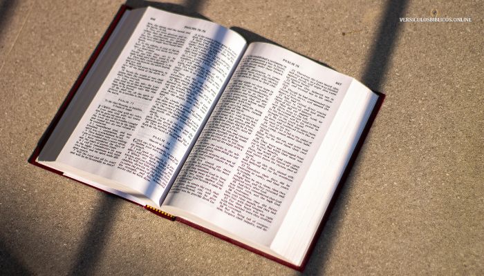 Salmo 42 Explicación