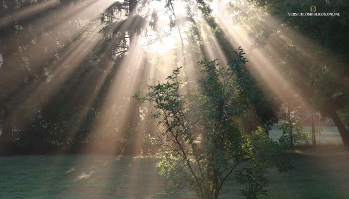 Salmo 84 Explicación