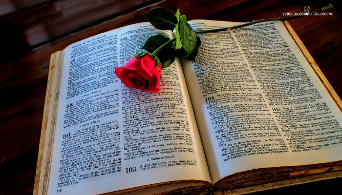 Salmo 91 Explicación