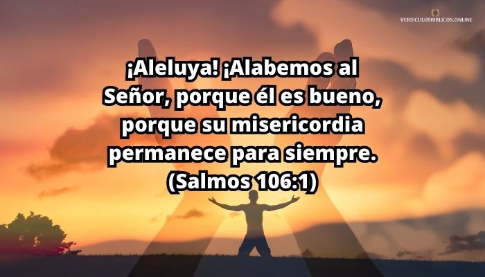 versiculos de agradecimiento