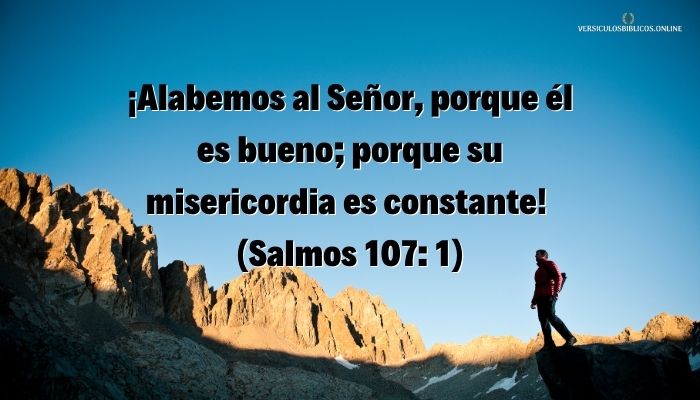 versiculos de agradecimiento