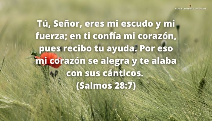 versiculos de agradecimiento