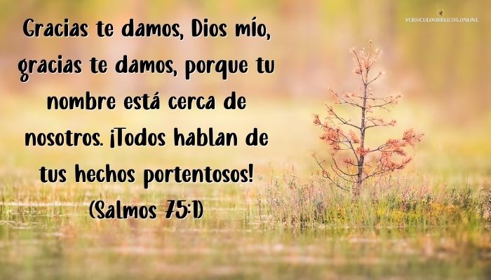 versiculos de agradecimiento