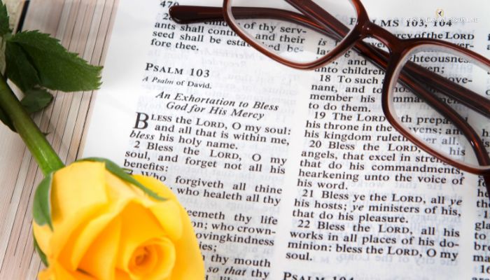 Salmos de Protección