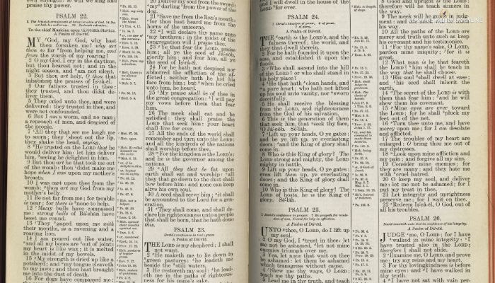 Salmos Más Cortos de la Biblia