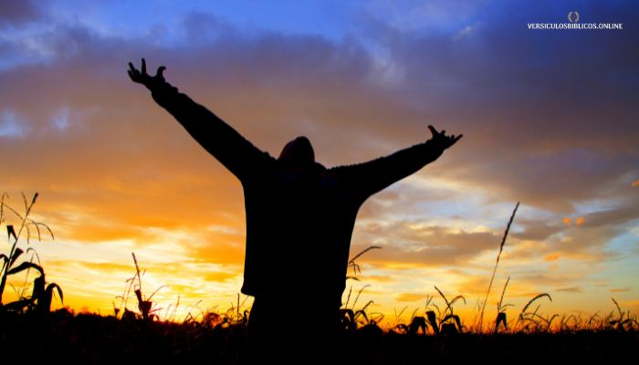 versiculos de agradecimiento